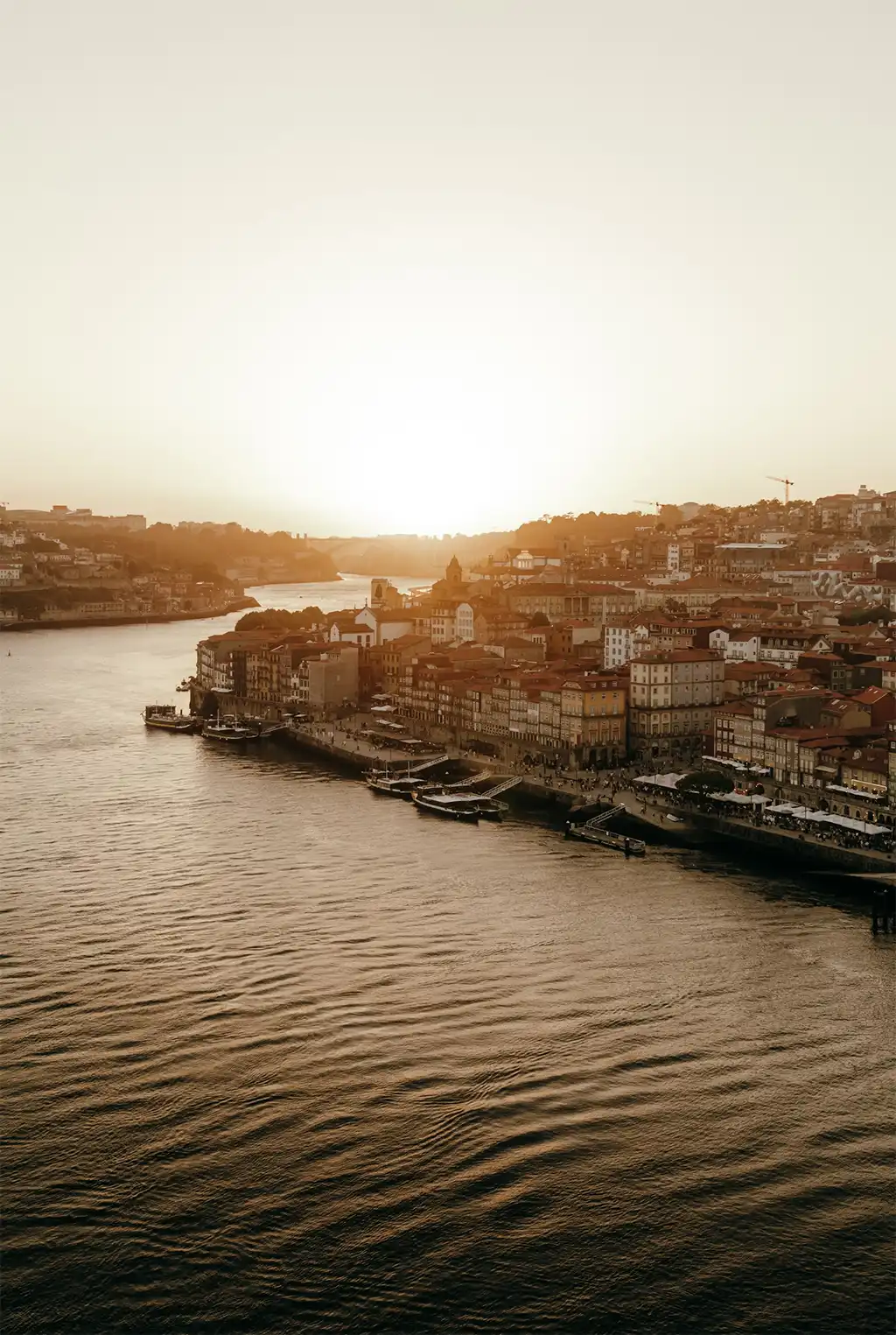 Que ver en Oporto: Un Paraíso de Sensaciones y Encanto Histórico Qué ver y hacer en Oporto