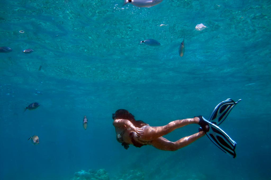 Bucear En Hawai