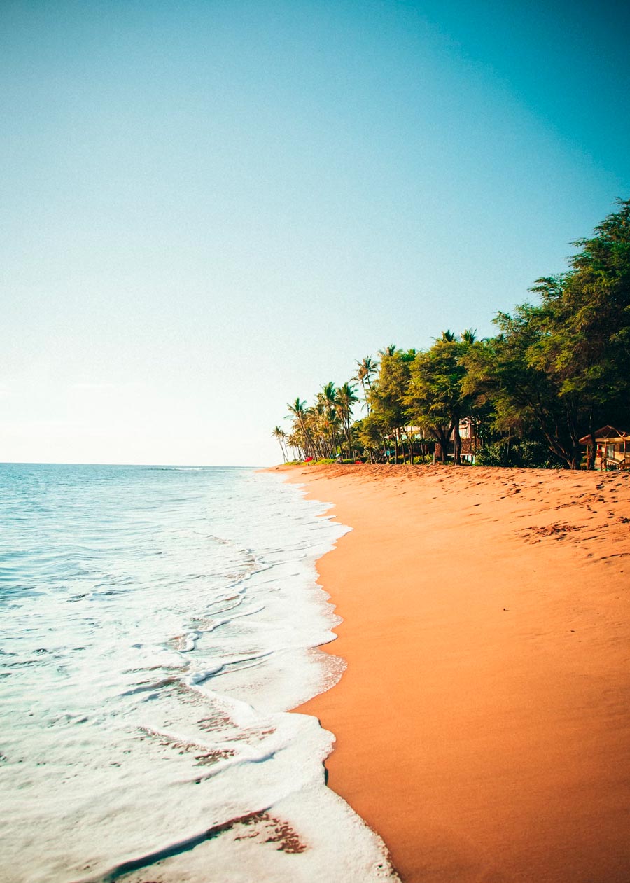 Disfruta De La Playa