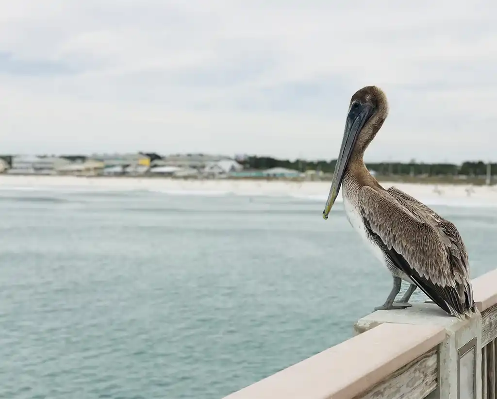 Panama City Beach