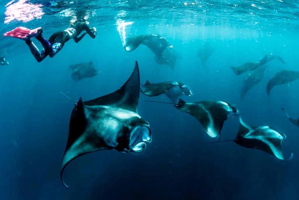 Pueblo De Rayas Manta