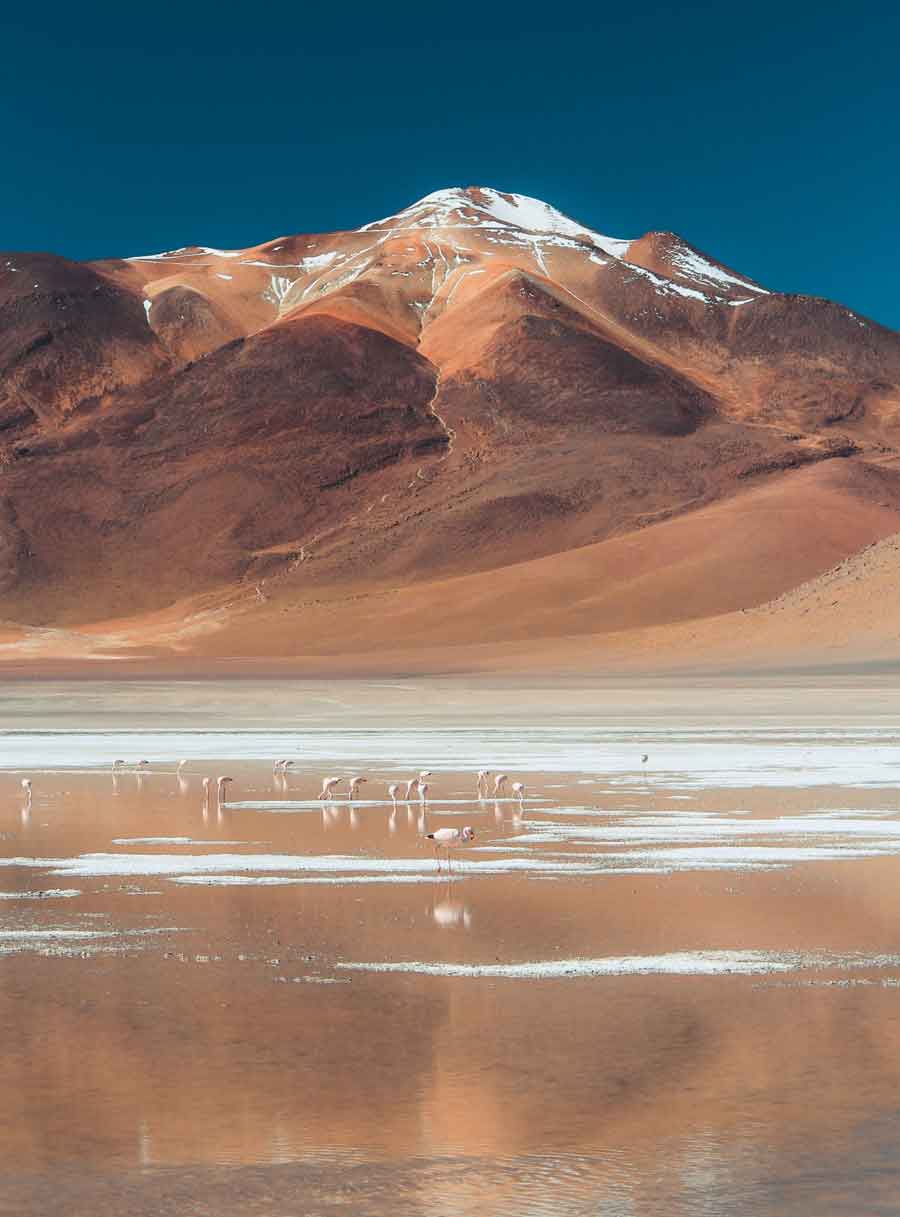 Salar De Atacama