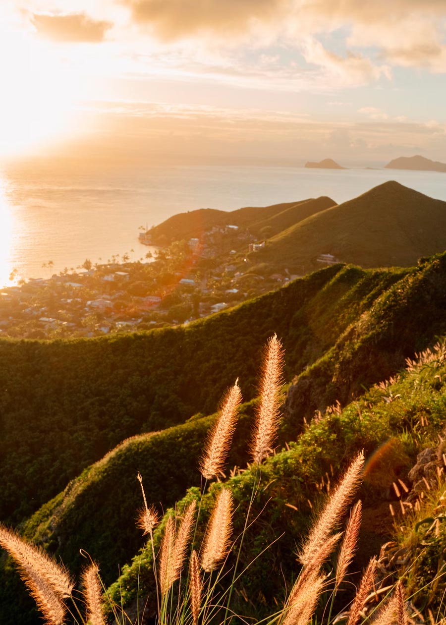 Sendero De Pillbox De Lanikai