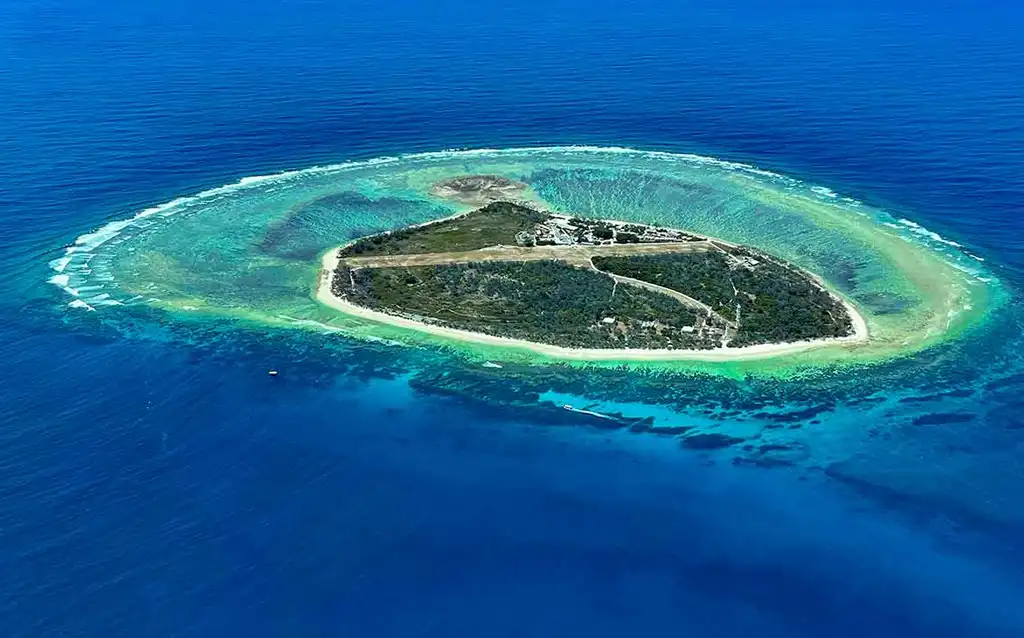 Lady Elliot Island