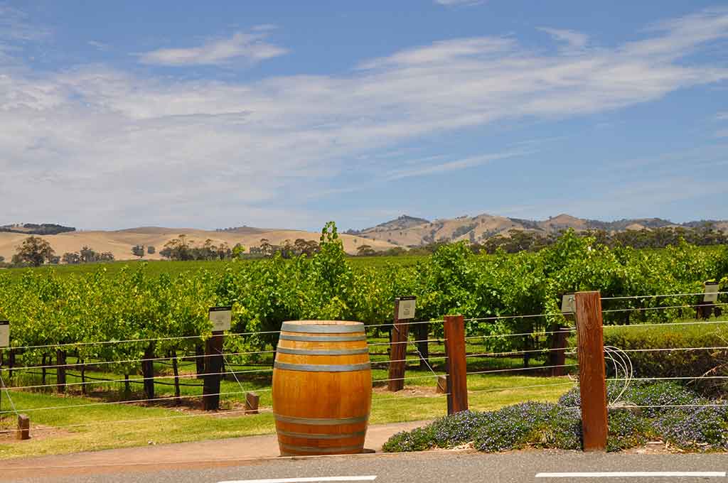 Las Mejores Bodegas Del Valle De Barossa