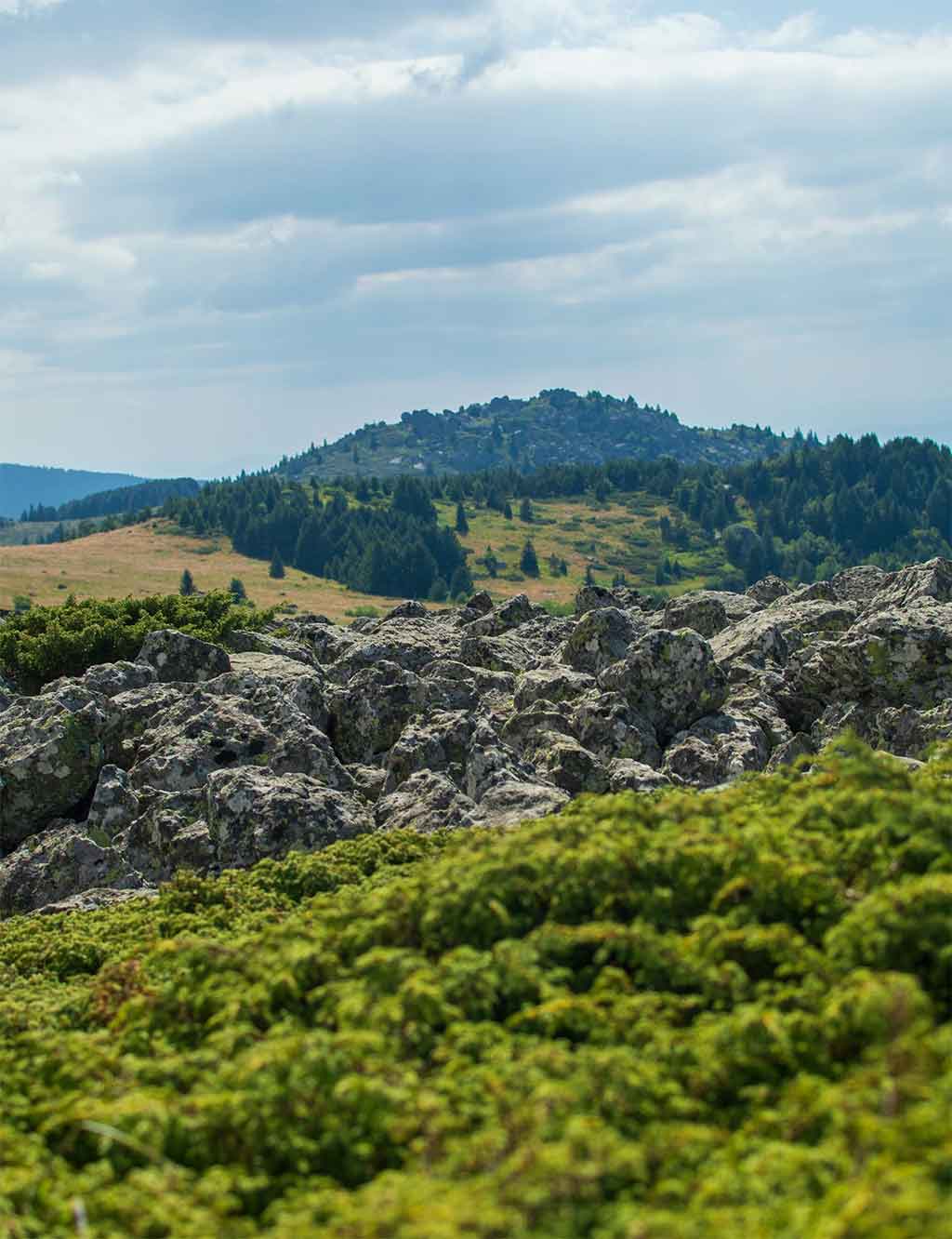 Sofía que ver: La guía definitiva con los 15 imprescindibles Monte Vitosha
