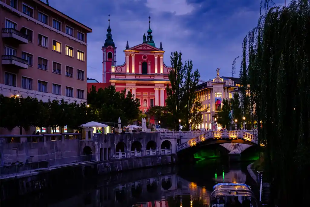 Conoce A Todos Sus Puentes