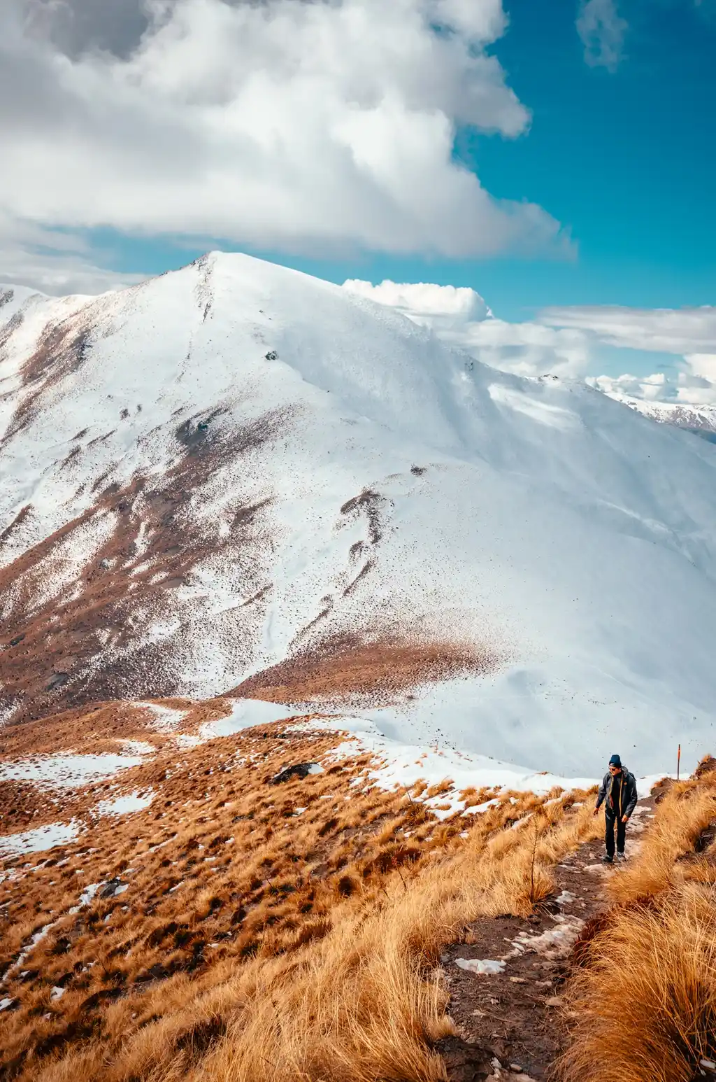 Sendero De Ben Lomond