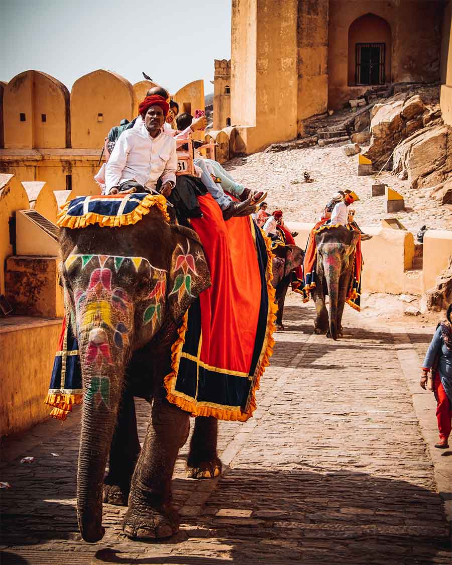 Guía de viaje de Rajasthan: La Tierra de los Reyes Como Moverte Por Rajasthan