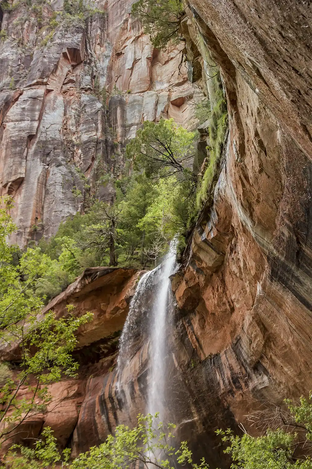 Parque Nacional Zion: la guía definitiva para tu aventura en Utah Parque Nacional Zion Piscina Esmeralda