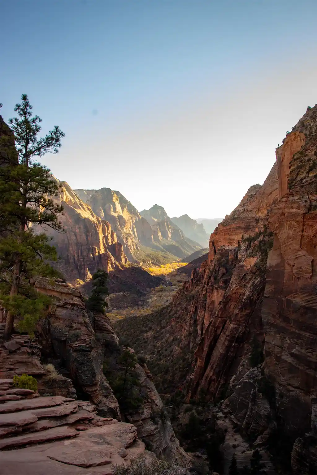 Parque Nacional Zion: la guía definitiva para tu aventura en Utah Zion National Park Senderismo