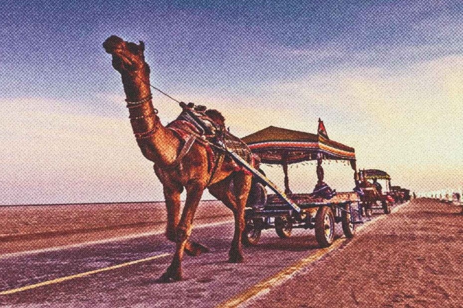 Desierto El Rann De Kutch