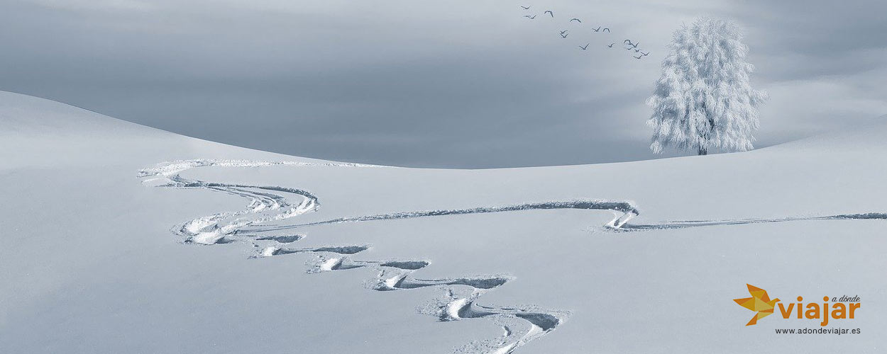 Nieve Nevar Esqui Esquiadas