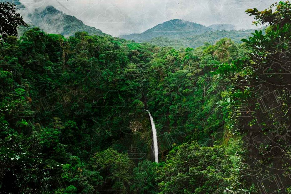 Guía de viaje a Costa Rica: planifica tu aventura de "Pura Vida" Costa Rica Guia Viaje