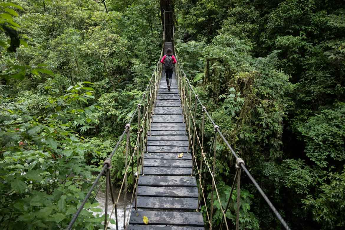 Guía de viaje a Costa Rica: planifica tu aventura de "Pura Vida" Monteverde Costa Rica