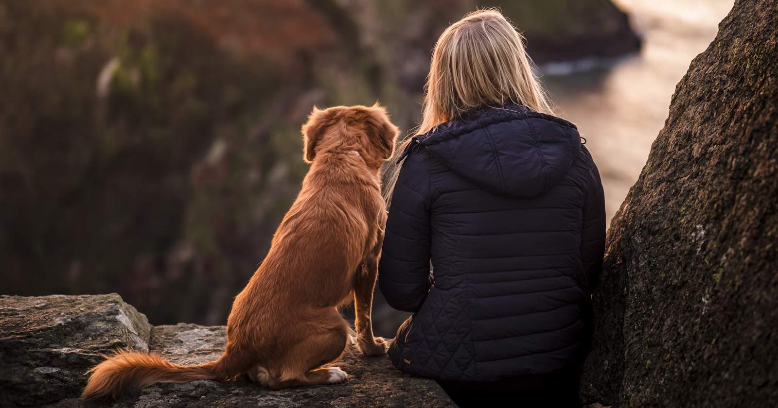 Planifica tu Viaje Guia Para Viajar Con Mascotas