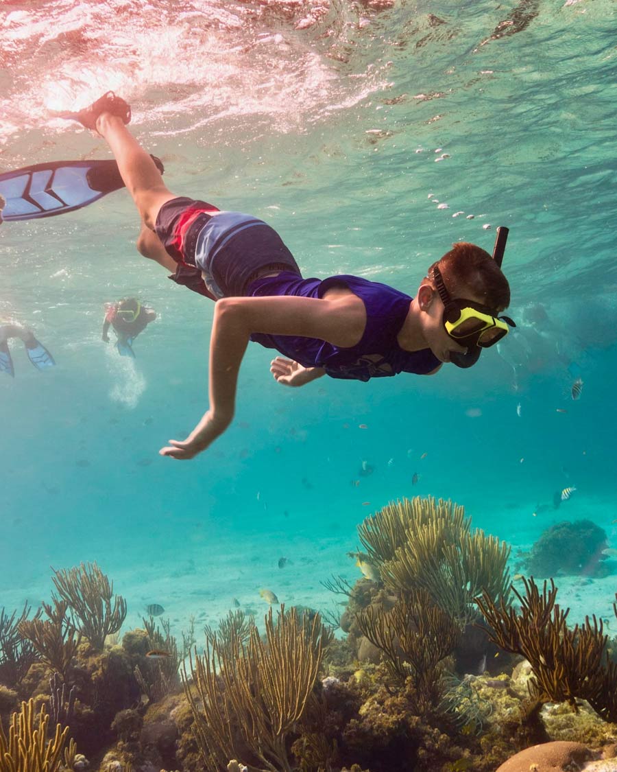Buceo En El Mar Azul