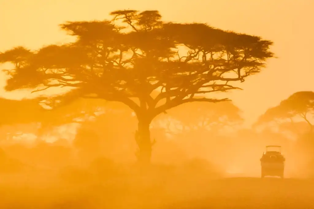 Parque Nacional de Chobe: Guía de Visita Qué Llevar en un Safari en Chobe