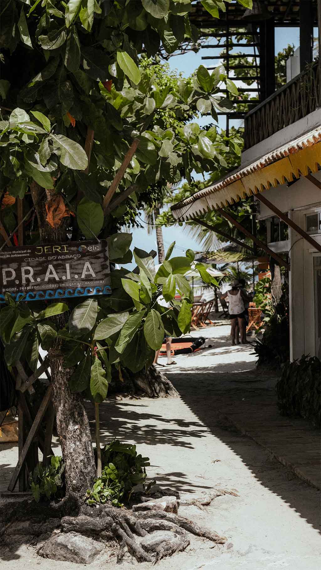 Guía de Jericoacoara: todo lo que necesitas saber para tu viaje Cuando Ir A Jericoacoara