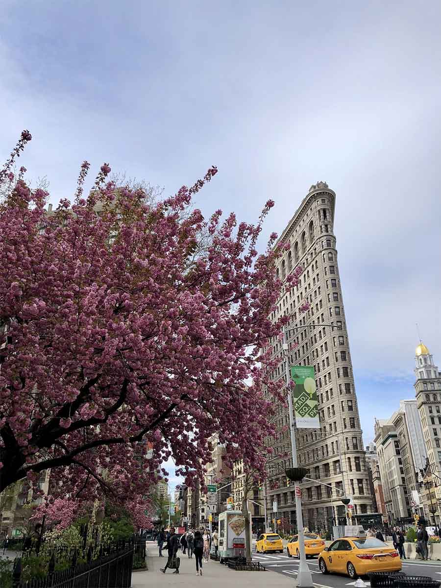 Qué ver en New York, la guía completa de los 35 imprescindibles Edificio Flatiron Y Madison Square Park