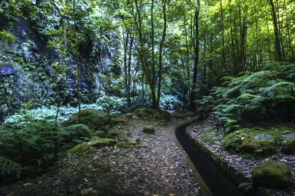 Madeira, qué ver y hacer en la maravilla de Portugal Levada do Alecrim