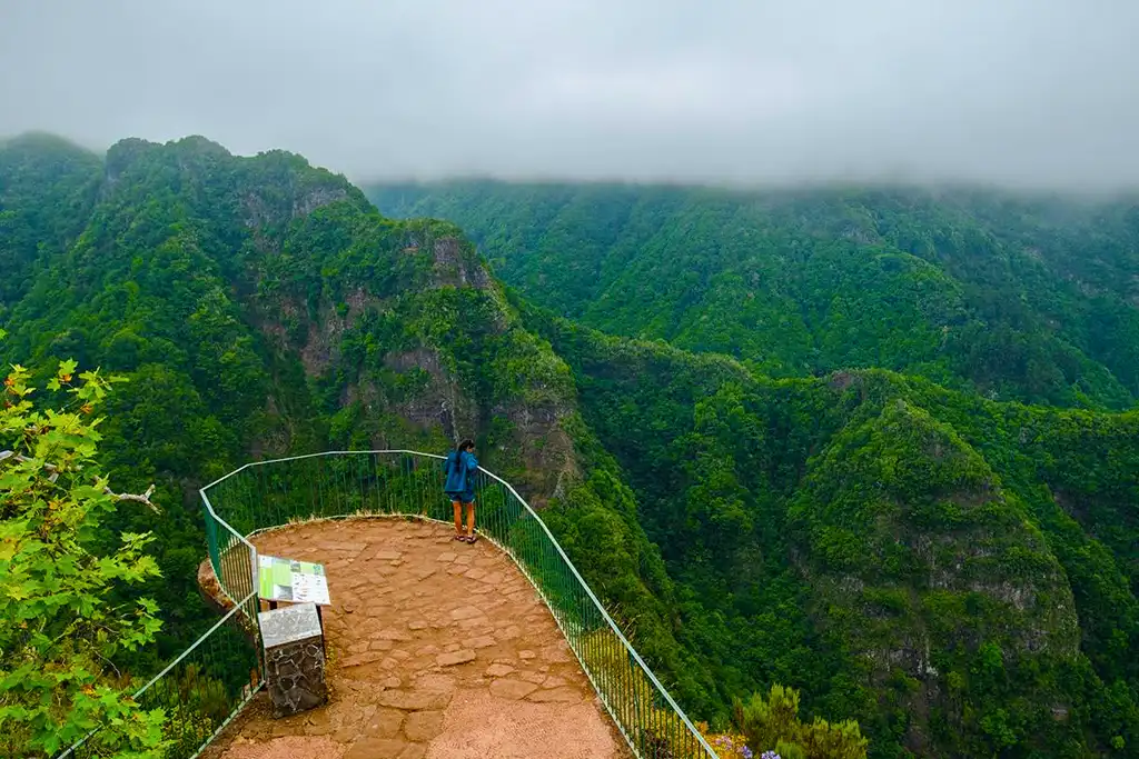 Madeira, qué ver y hacer en la maravilla de Portugal Parque Forestal de Ribeiro Frio