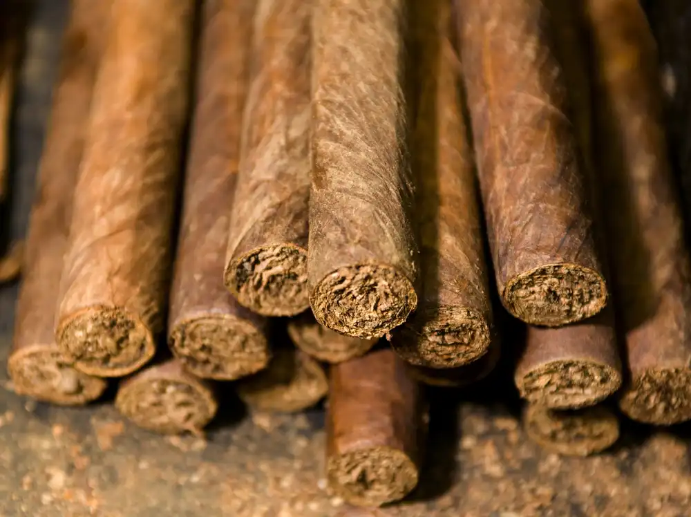 10 Cosas qué hacer en República Dominicana imperdibles Degusta productos de la República Dominicana