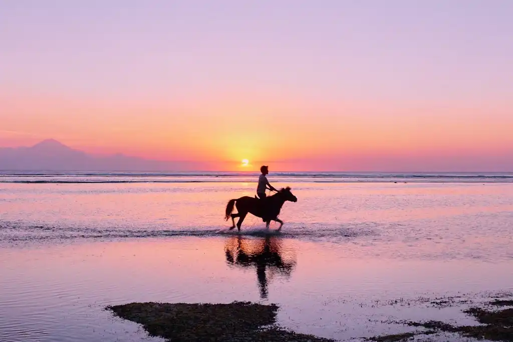 Qué ver y hacer en las Islas Gili: Consejos de viaje Explora las Gilis a caballo o en cidomo