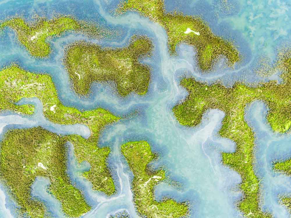 Guía de viaje a Santoña: qué ver y hacer en la joya de Cantabria Parque Natural De Las Marismas De Santoña