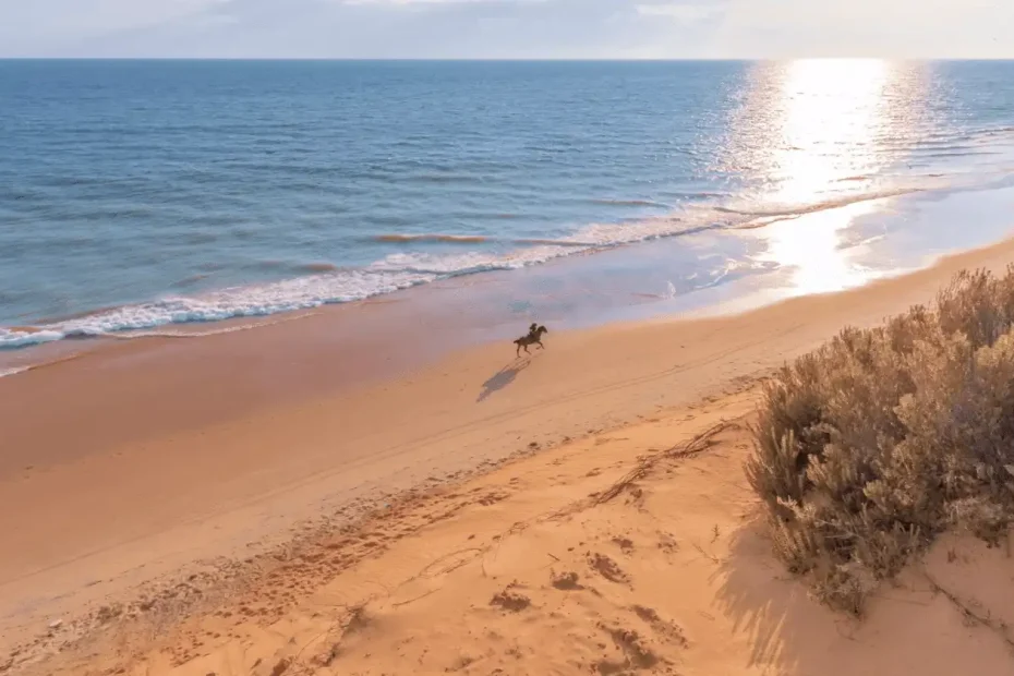 Matalascañas Guía de viaje
