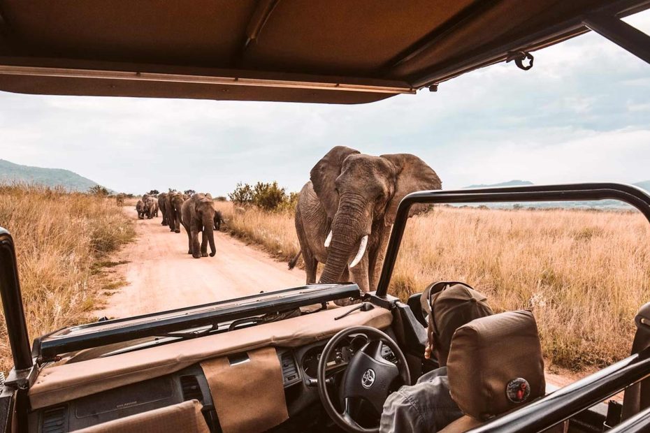 Parque Nacional de Chobe: la joya salvaje de Botswana que tienes que visitar Parque Nacional Chobe