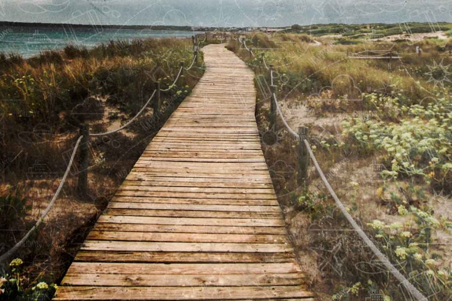 3 ideas de excursiones por Formentera para ver la Isla en un día Mejores Excursiones Por Formentera