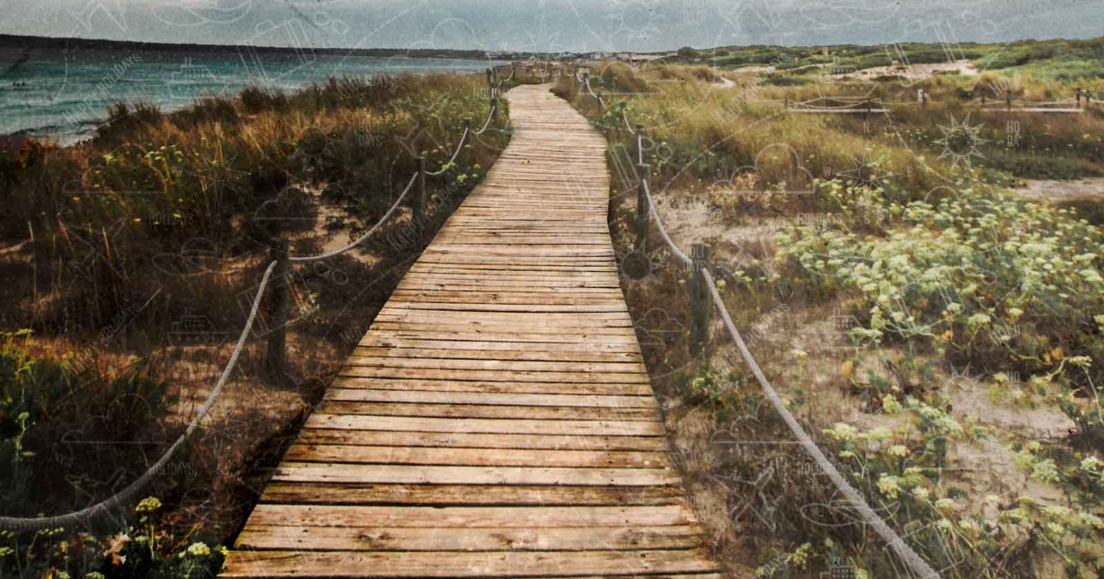 3 ideas de excursiones por Formentera para ver la Isla en un día Mejores Excursiones Por Formentera