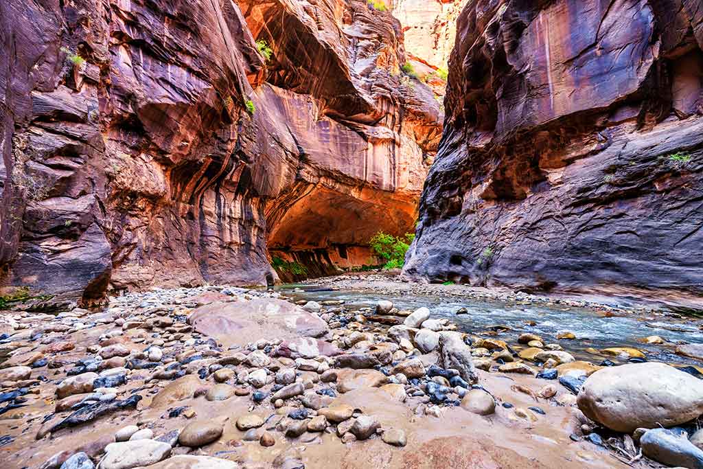 Parque Nacional Zion: la guía definitiva para tu aventura en Utah Kolob Canyons