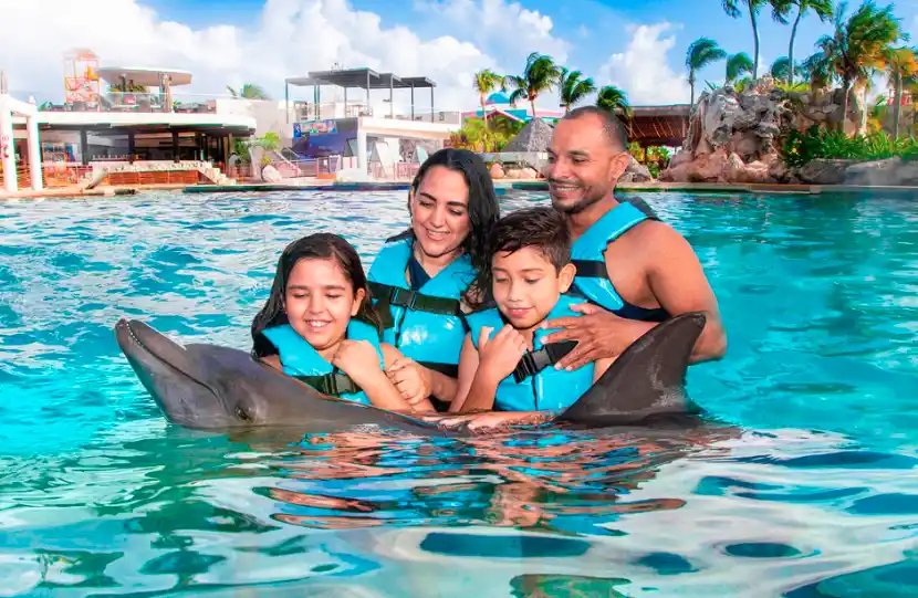 Nado con delfines en Cancún: La experiencia que hará inolvidable tu visita Experiencia Para Nado Con Delfines En Cancun