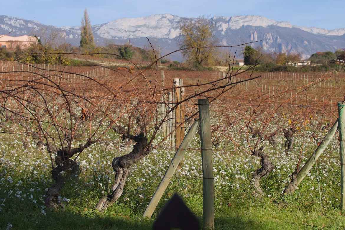 Guía para viajar por el País Vasco: todo lo que necesitas saber Laguardia