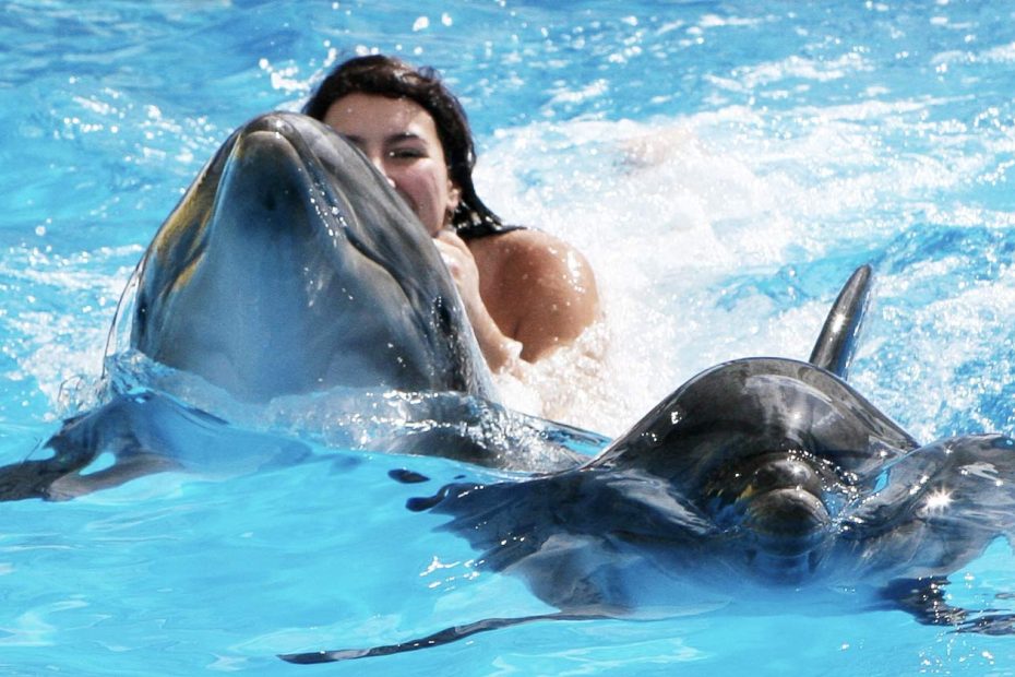 Nado Con Delfines En Cancun
