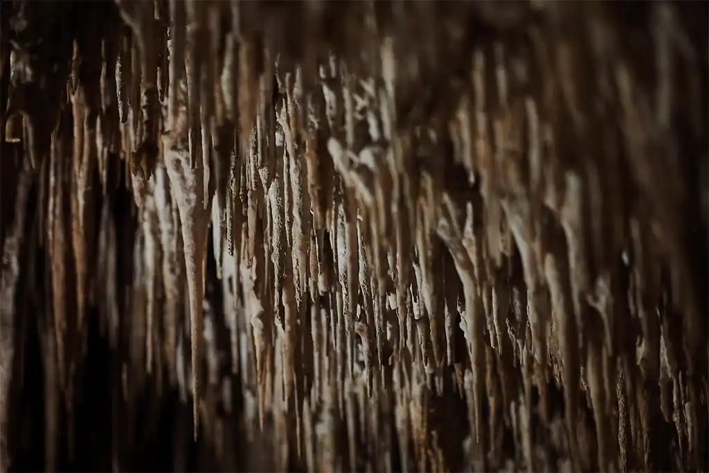 Conociendo Las Cuevas Del Drach