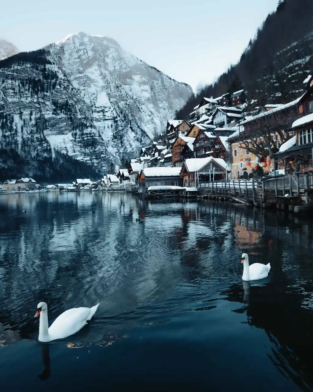 Qué ver en Hallstatt, Austria Paseos En Barco
