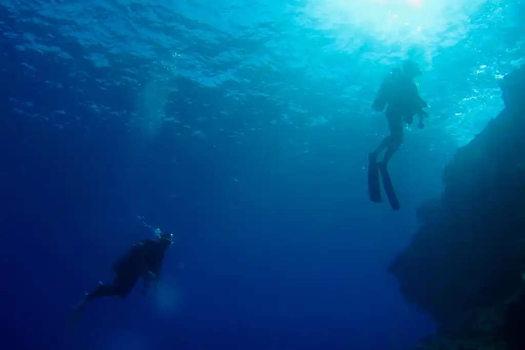 Inmersion En Okinawa