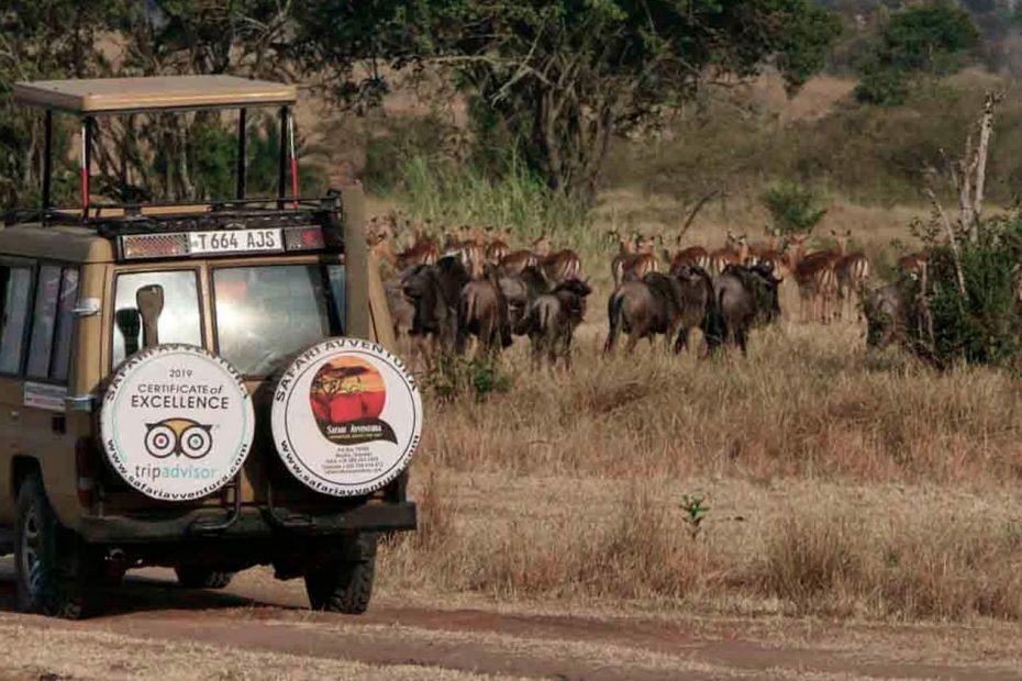 Adventure Safari Safaris Fotograficos