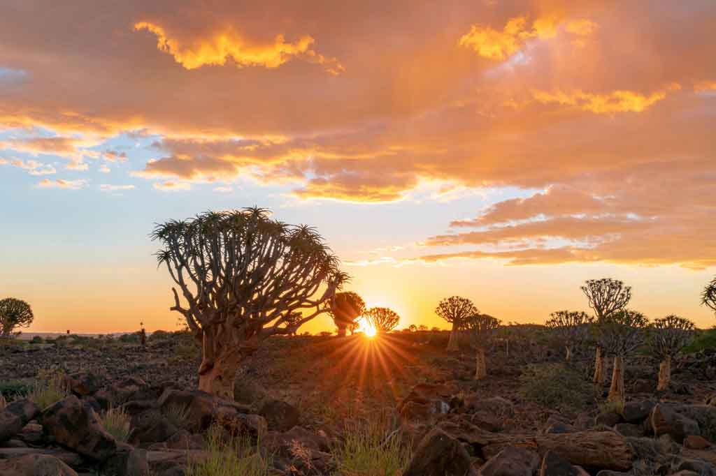 Sitios baratos para viajar que nunca te habías planteado Sudafrica Destino Barato