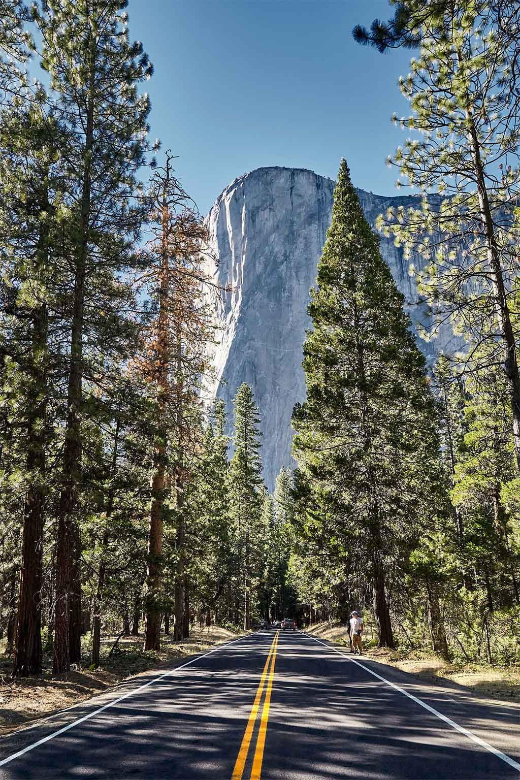 Guía para visitar en la Costa Oeste en tu próximo viaje a Estados Unidos La Costa Oeste Es Perfecta Para Viajar