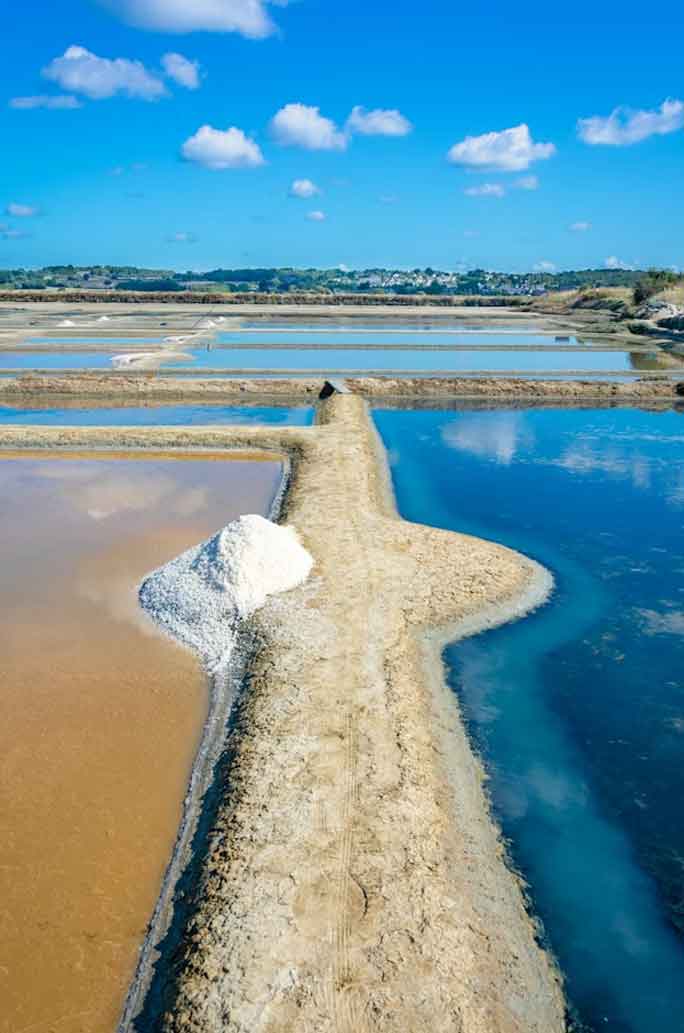Nantes: la ciudad francesa que reinventó el arte urbano Guerande
