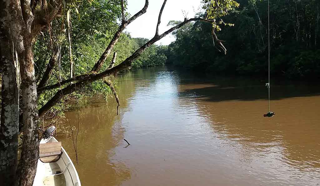 Reserva De Cuyabeno En Ecuador