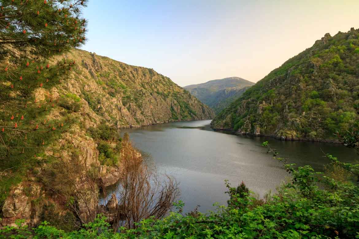 Monforte de Lemos: la joya oculta de Galicia que necesitas descubrir Ribeira Sacra