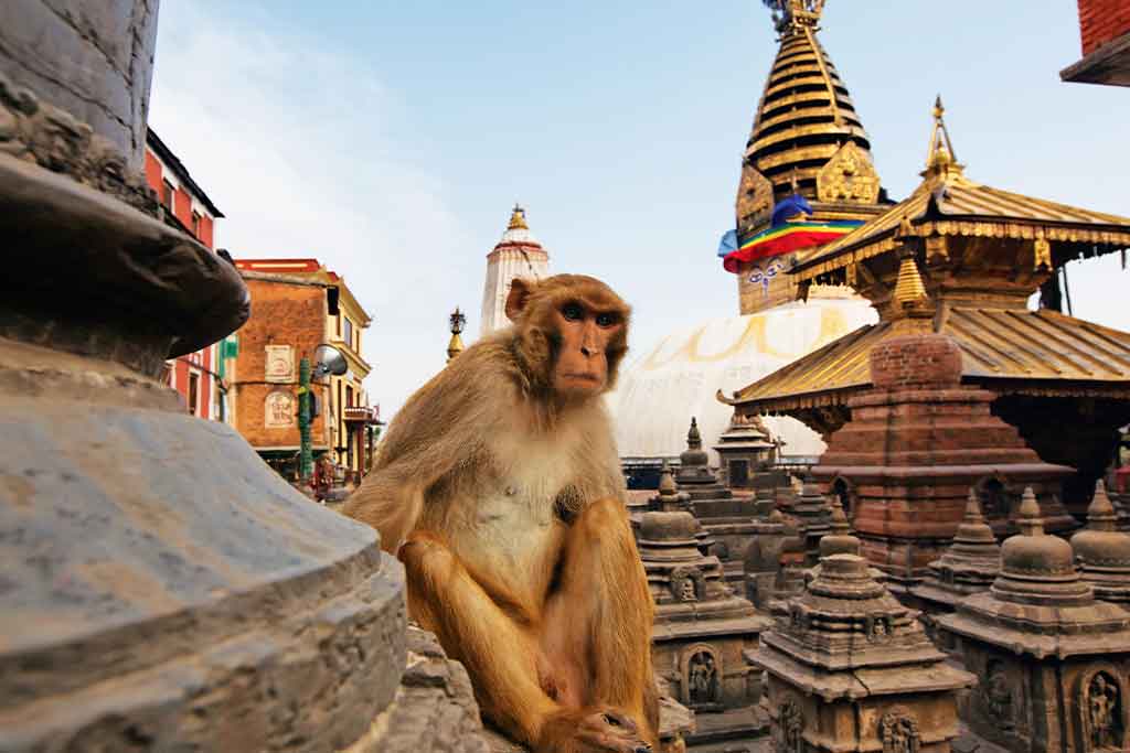 Swayambhunath