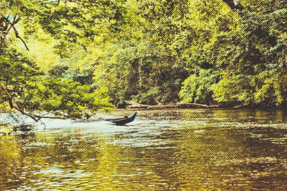 Taman Negara: la selva tropical más antigua del planeta te espera Taman Negara Malasia