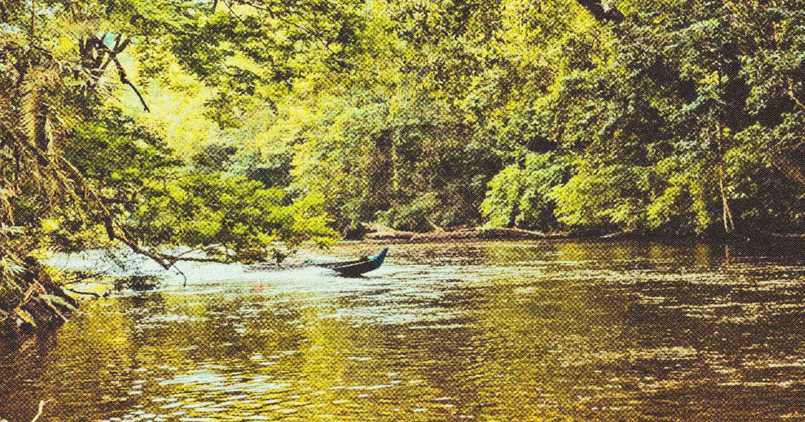 Taman Negara Malasia
