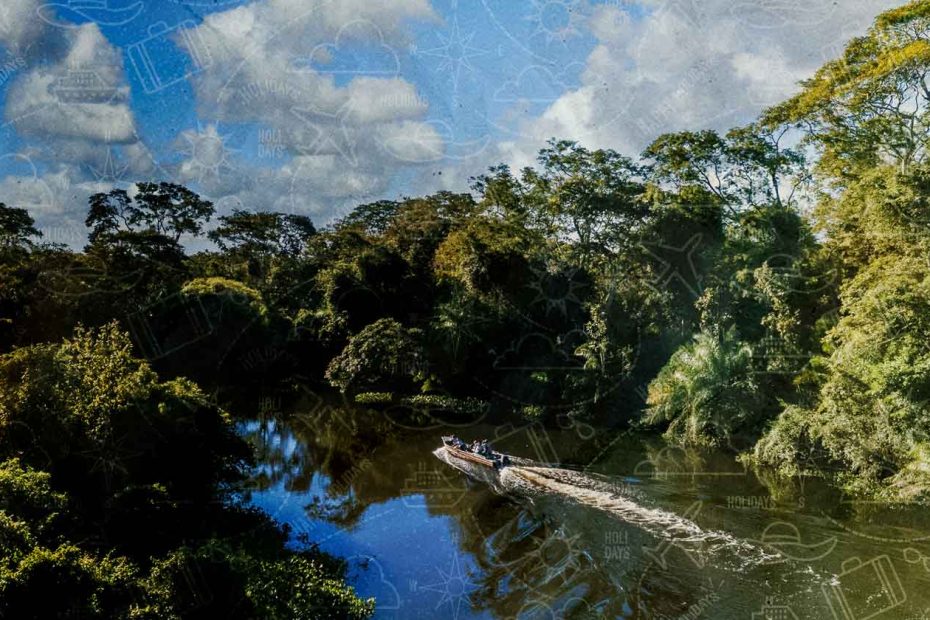 Visitar Taman Negara: Guía para visitar la selva más antigua del mundo. Taman Negara Guia Viaje